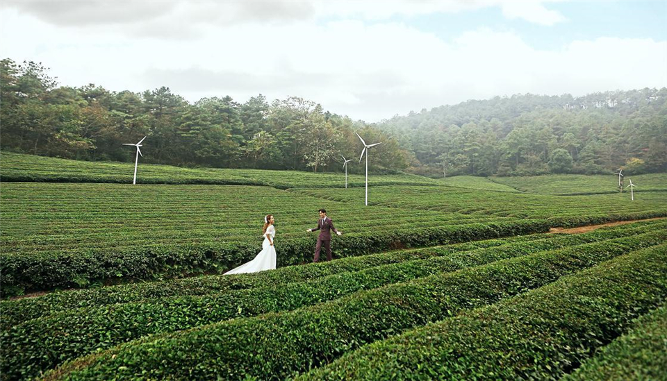 杭州依山郡-小情歌-图片1