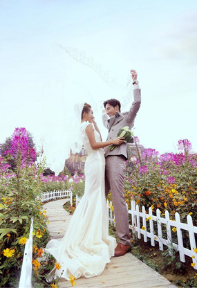 杭州依山郡-紫色花