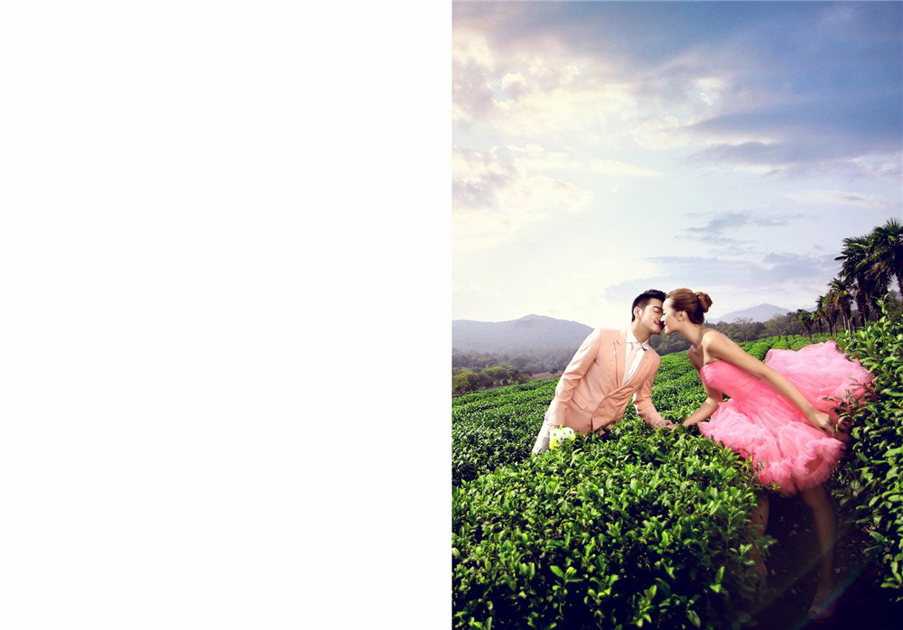 杭州-龙井茶园-图片6