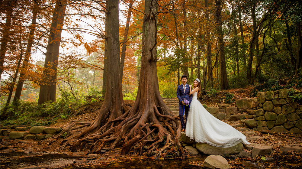 杭州-九溪-图片7