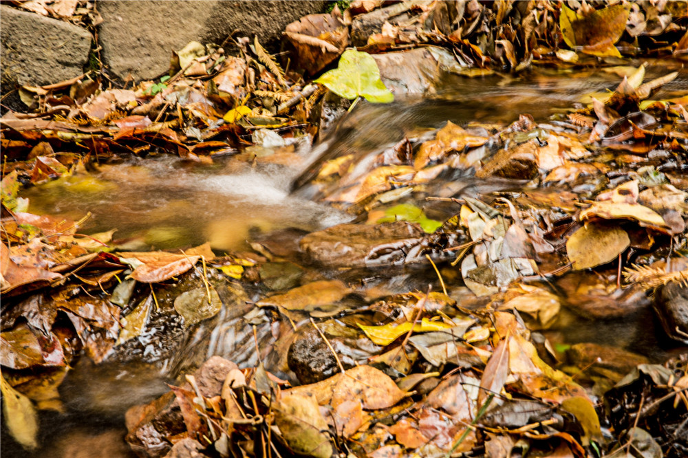 杭州-九溪-图片9