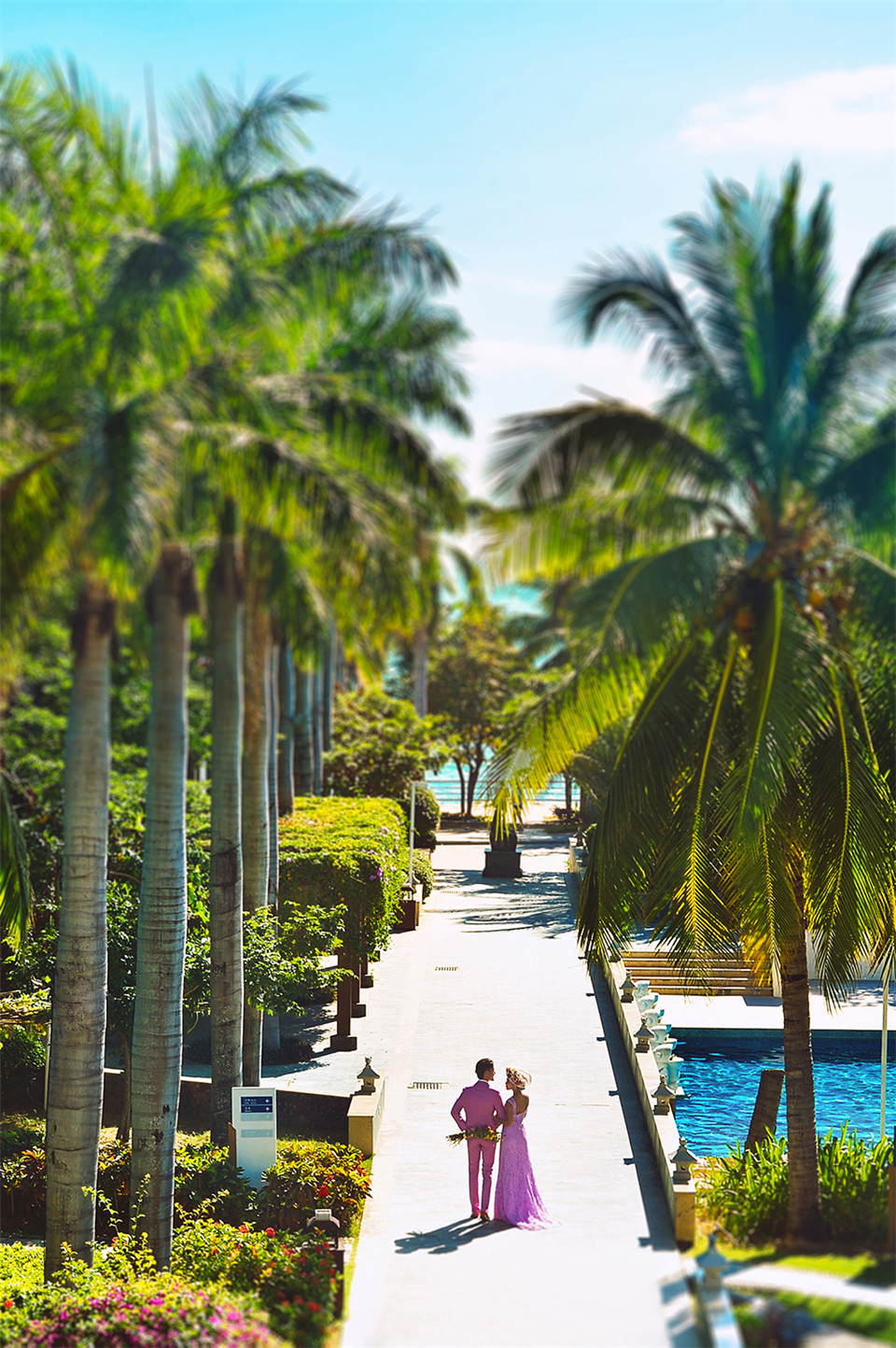 三亚-三亚湾酒店园林-图片3