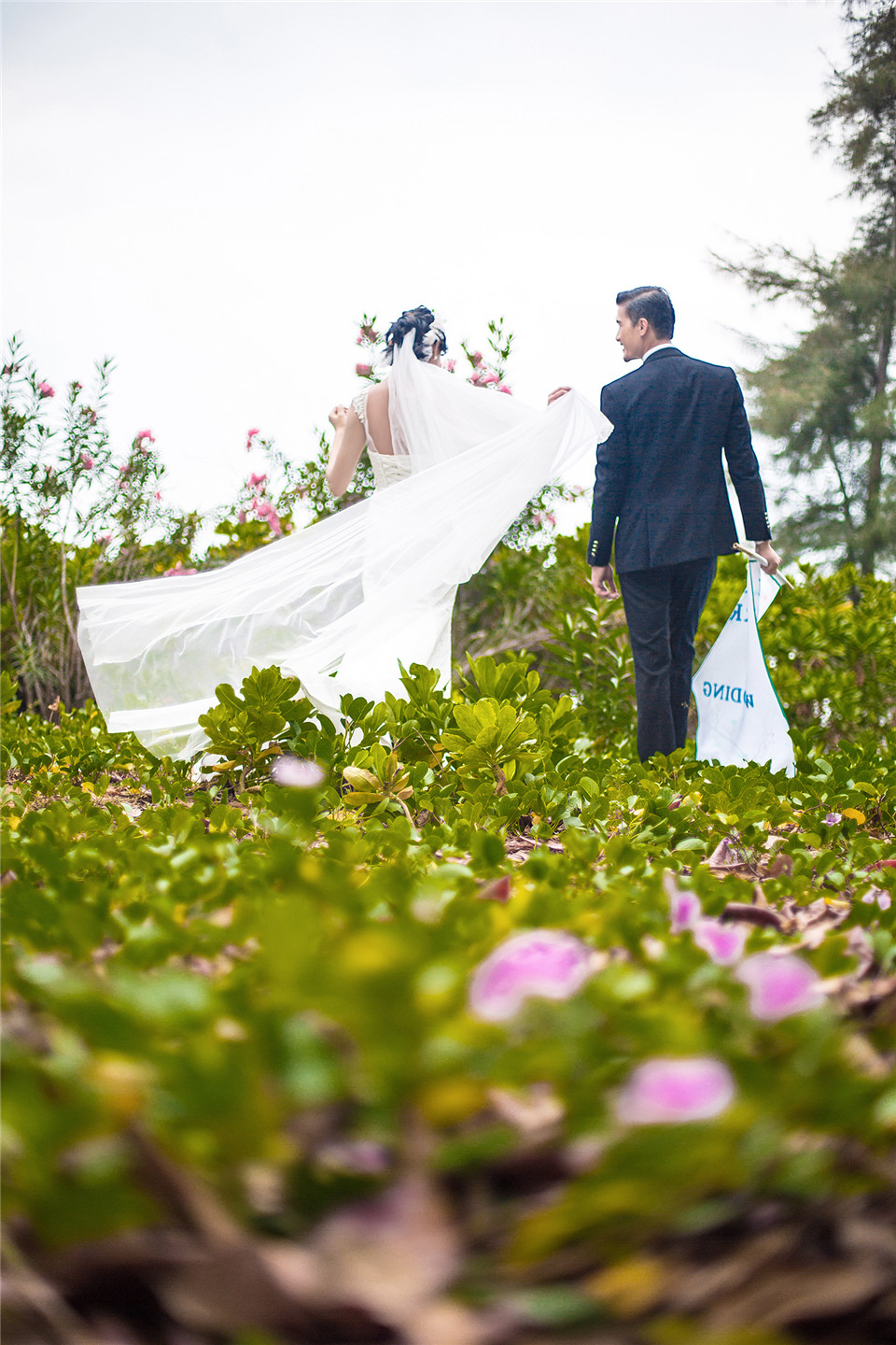 三亚-椰林-图片3