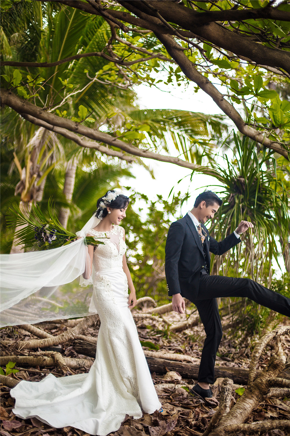 三亚-椰林-图片4