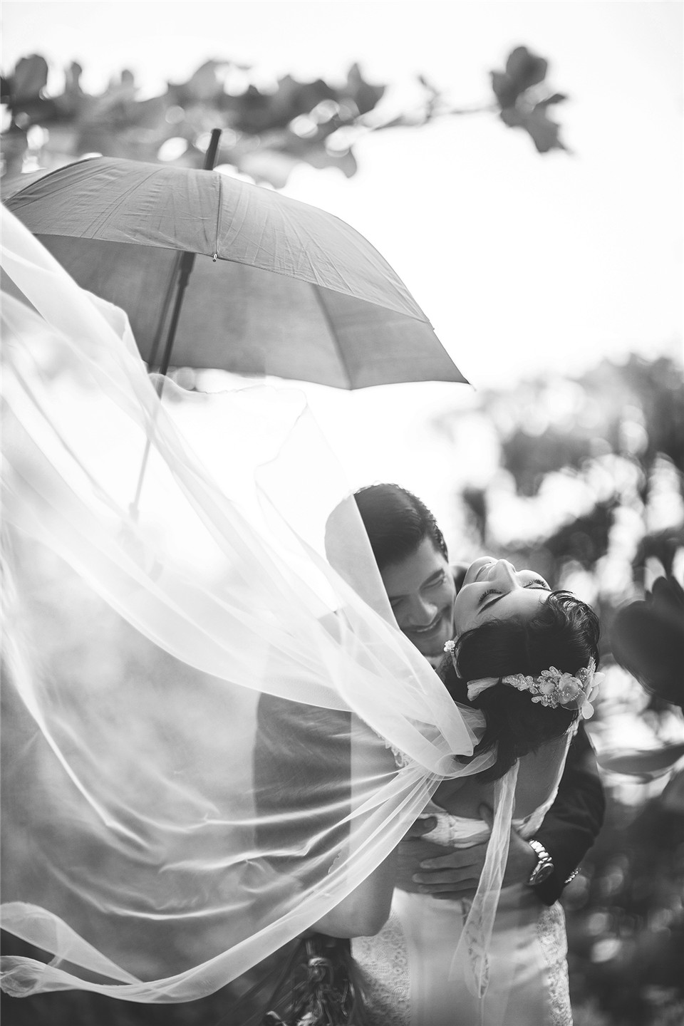 三亚-椰林-图片9