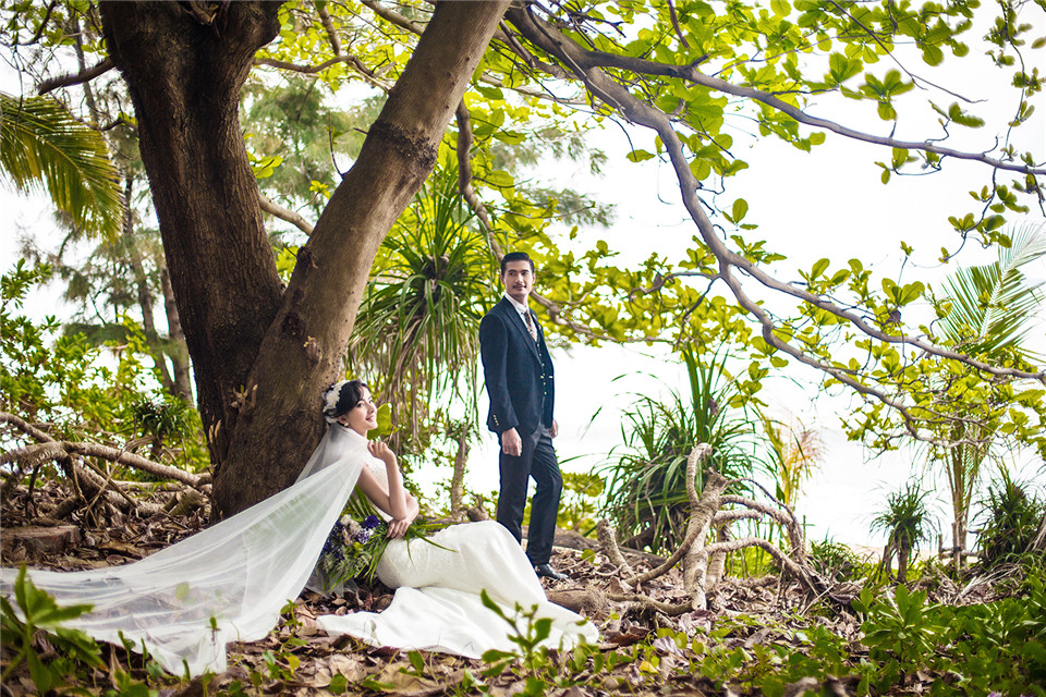 三亚-椰林-图片8