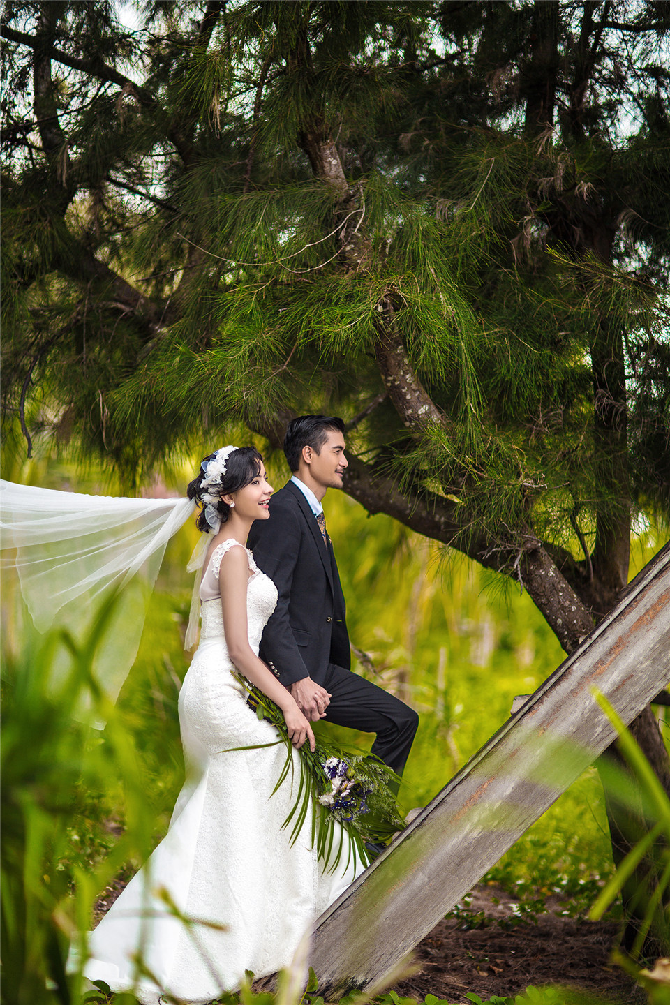 三亚-椰林-图片11