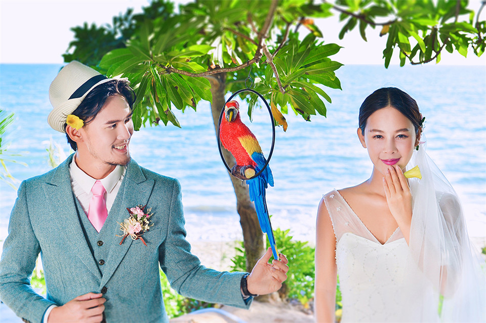 三亚-椰林-图片8