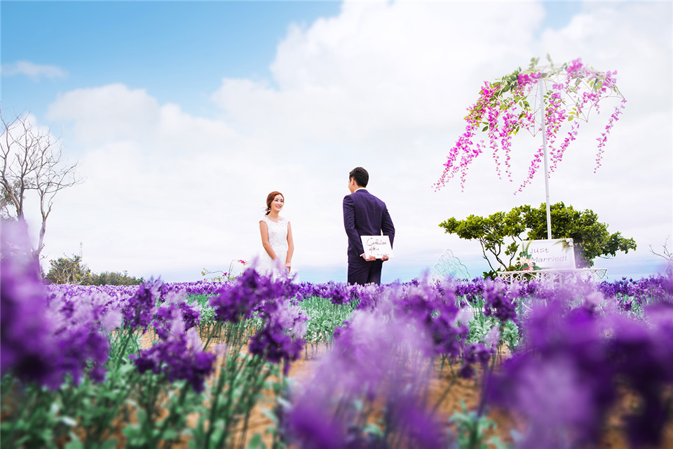 丽江-花季-图片8