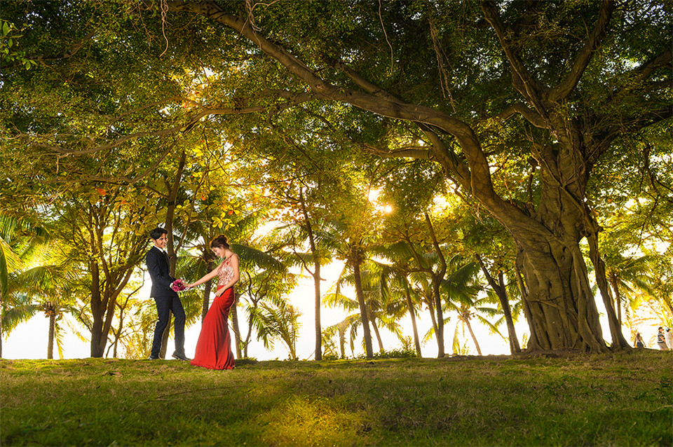 三亚-礁石 园林-图片12