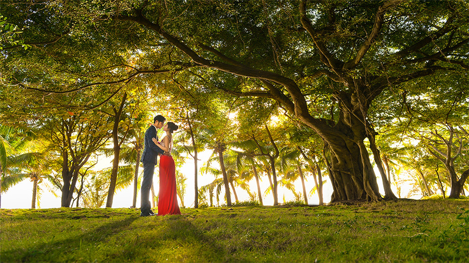 三亚-礁石 园林-图片11