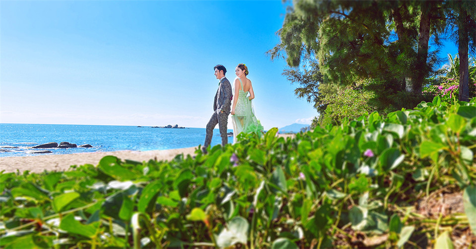 三亚-椰林 海滩-图片5