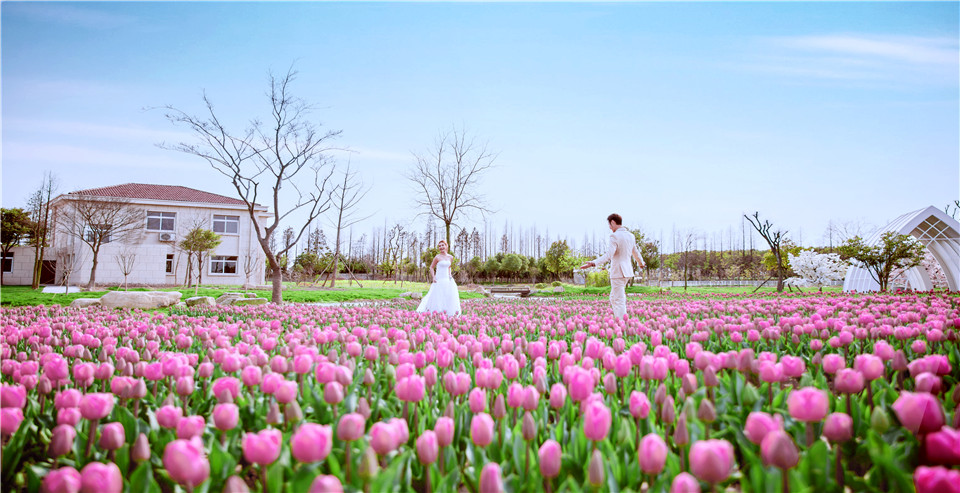 杭州-巧克力庄园-花海-图片5