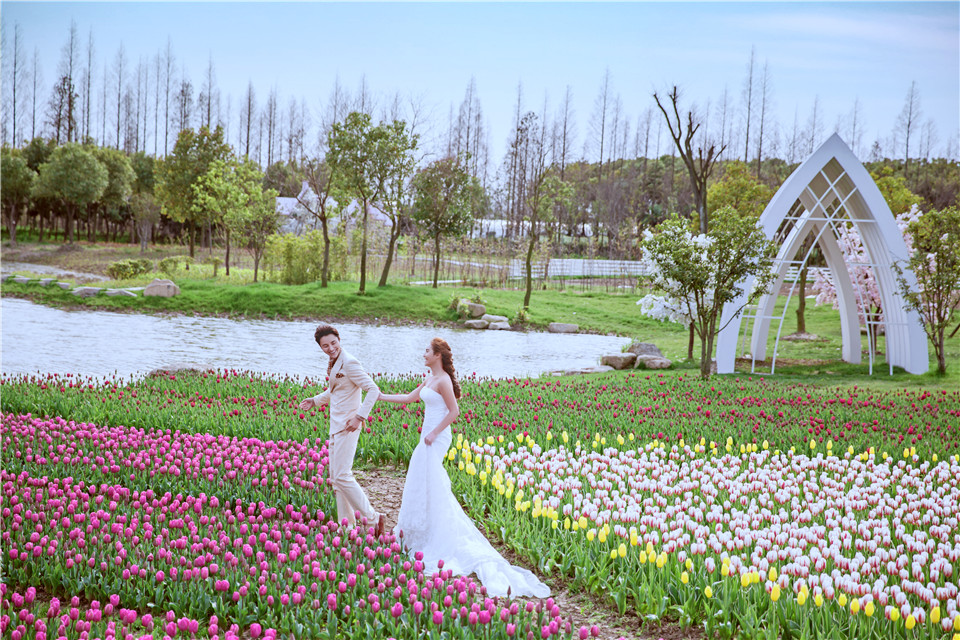 杭州-巧克力庄园-花海-图片7