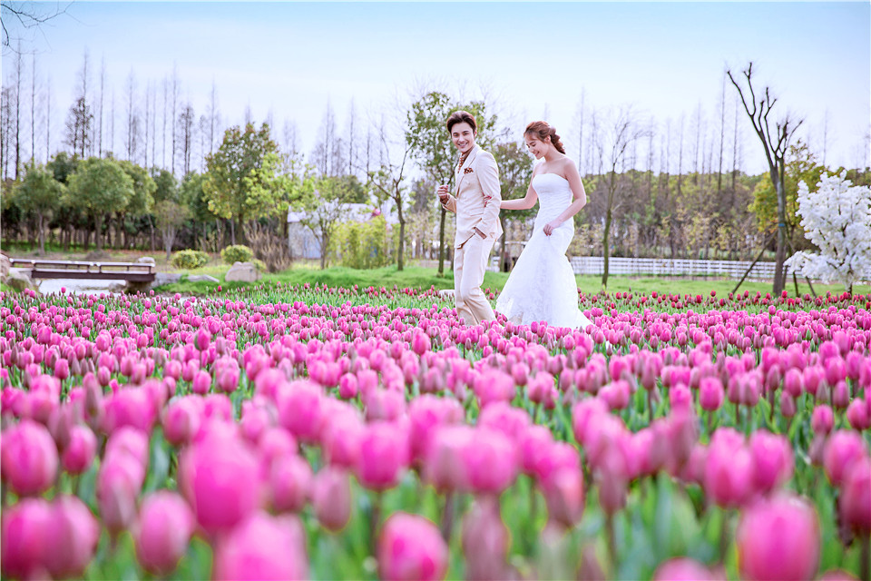 杭州-巧克力庄园-花海-图片8