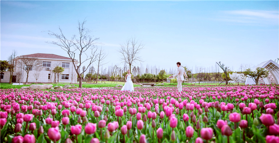 杭州-巧克力庄园-花海-图片9