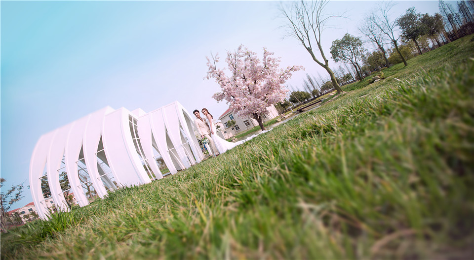 杭州-巧克力庄园-花海-图片18