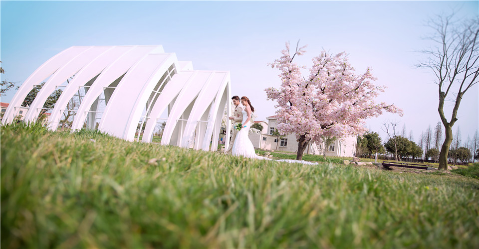 杭州-巧克力庄园-花海-图片17