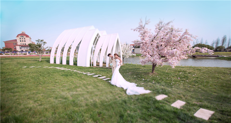 杭州-巧克力庄园-花海-图片19