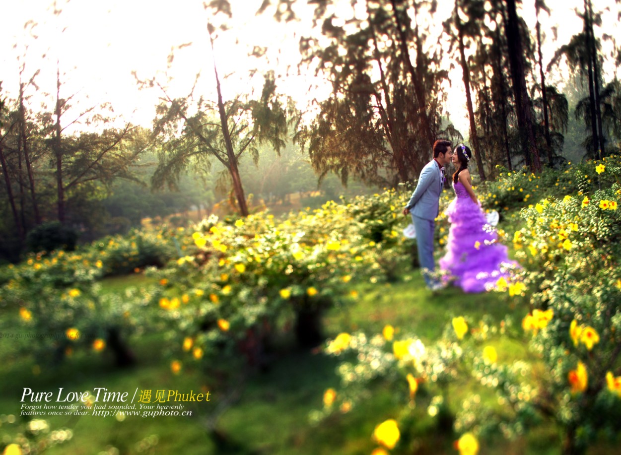 泰国-遇见你-图片1