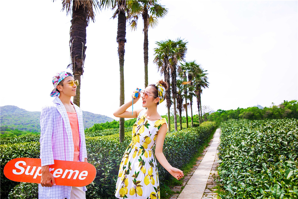 杭州-龙井茶园-图片7