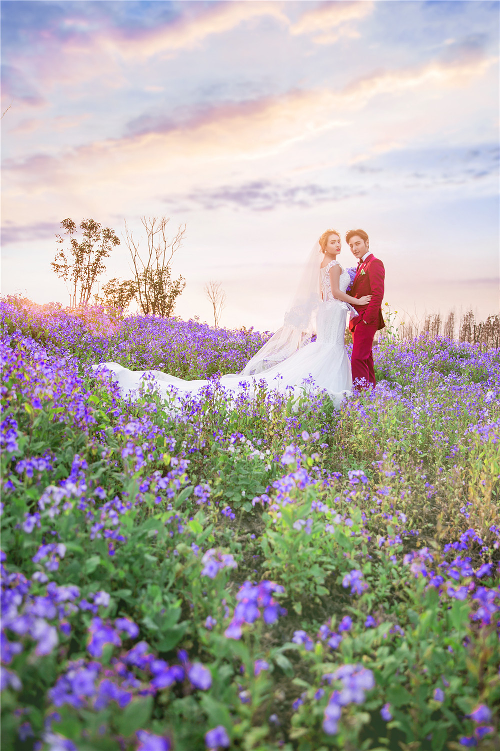 杭州-二月兰-图片1