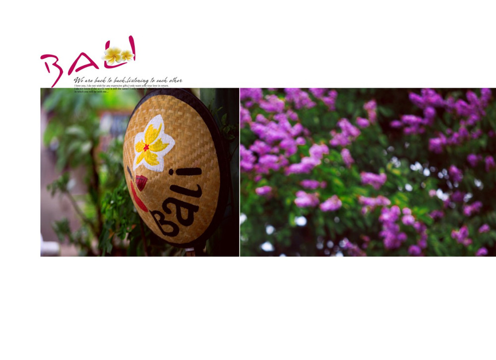 巴厘岛-景色-图片4