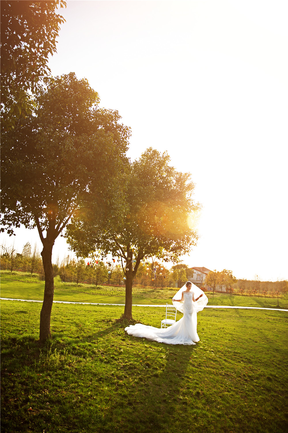 杭州-巧克力-最美逆光-图片3