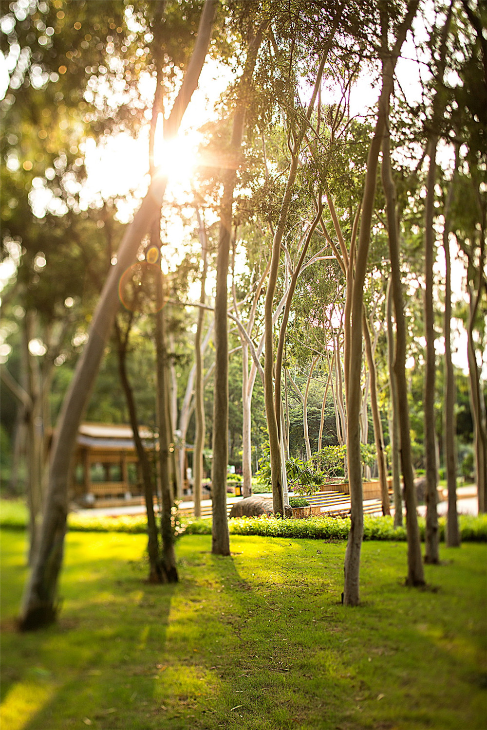 杭州-story-图片8