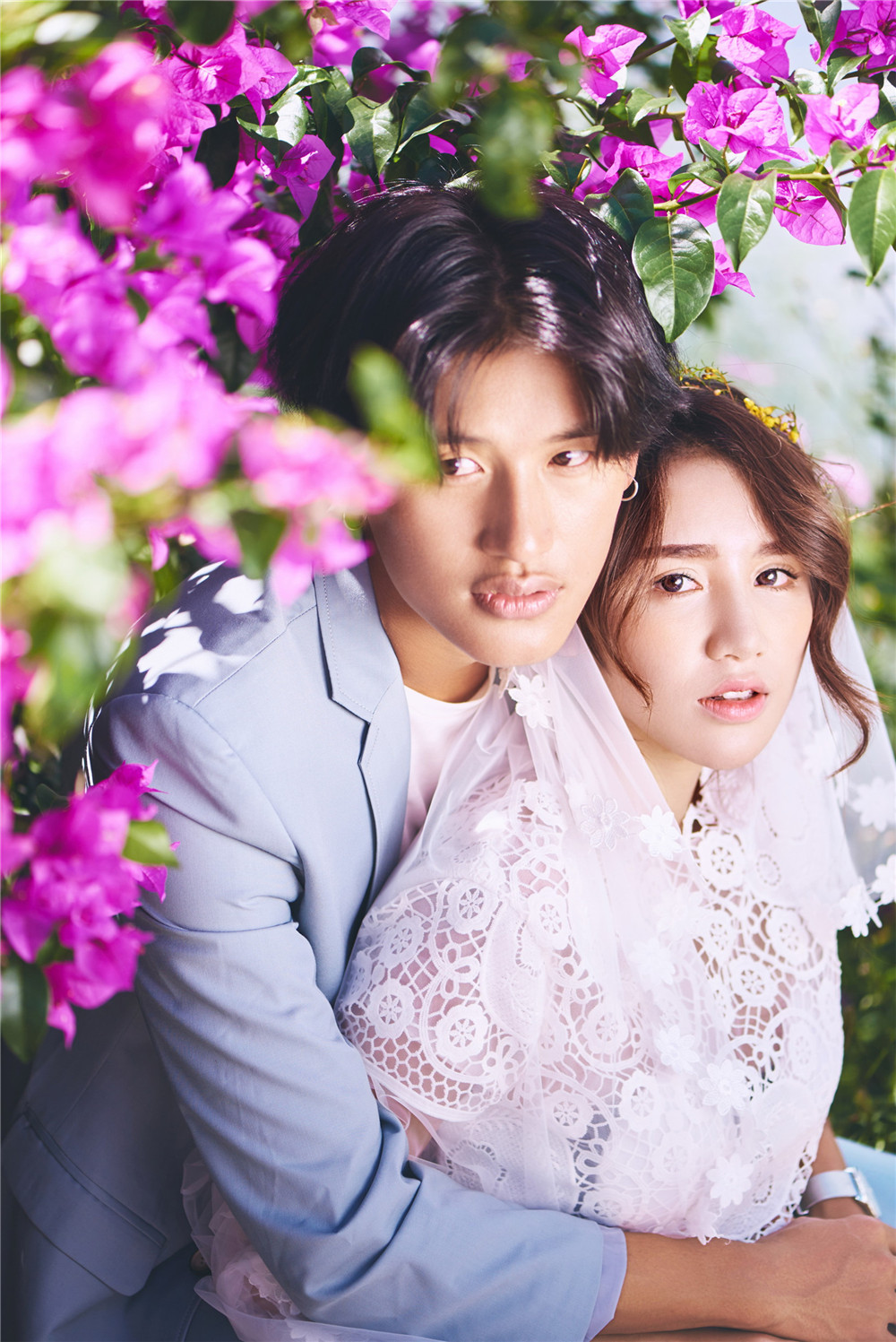 大理洱海-花开-图片2