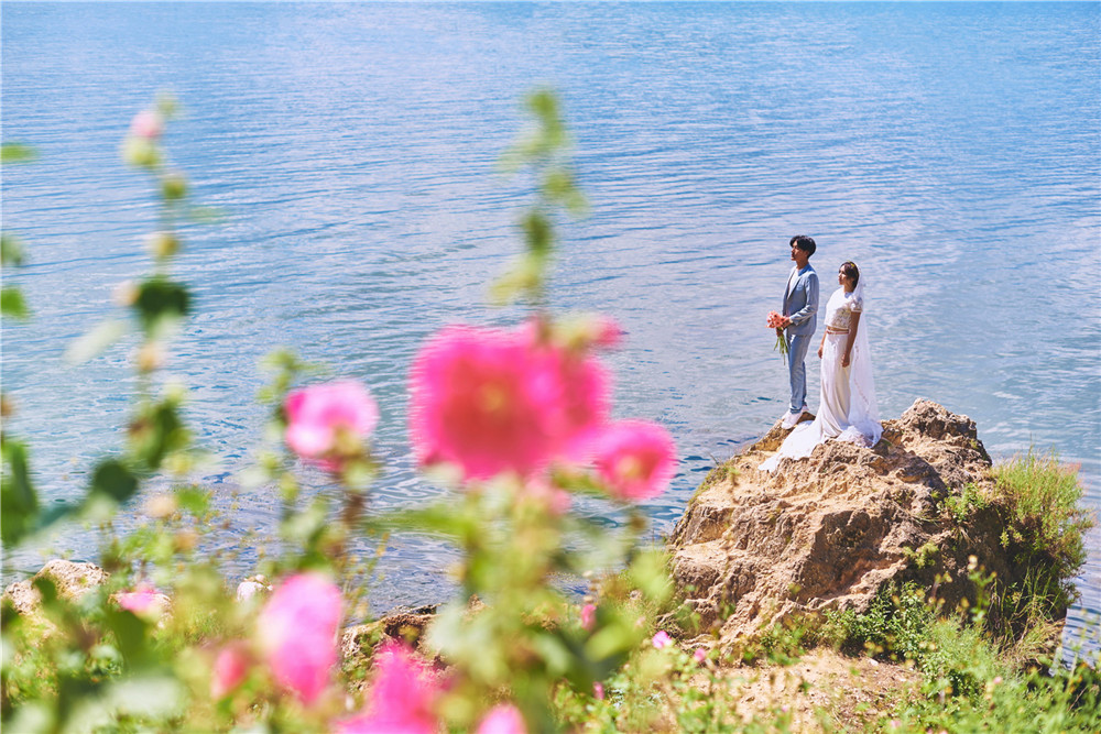 大理洱海-花开-图片4