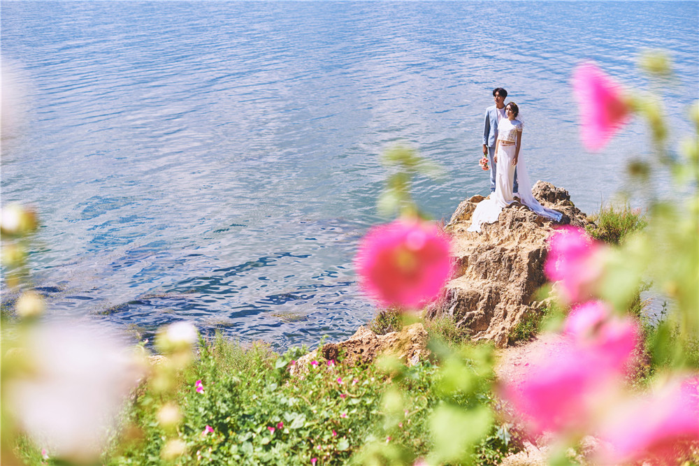 大理洱海-花开-图片6
