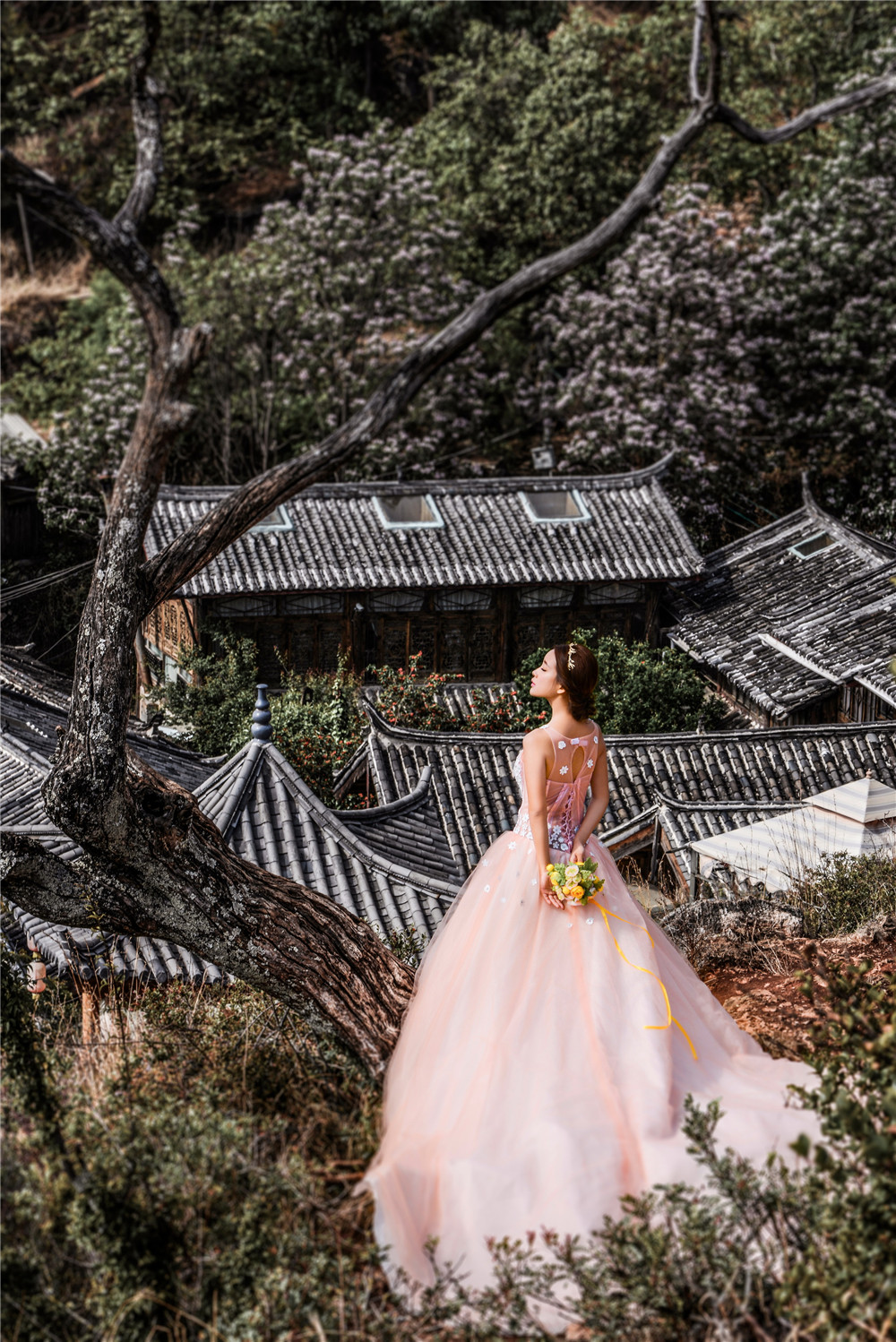 束河古镇-图片1