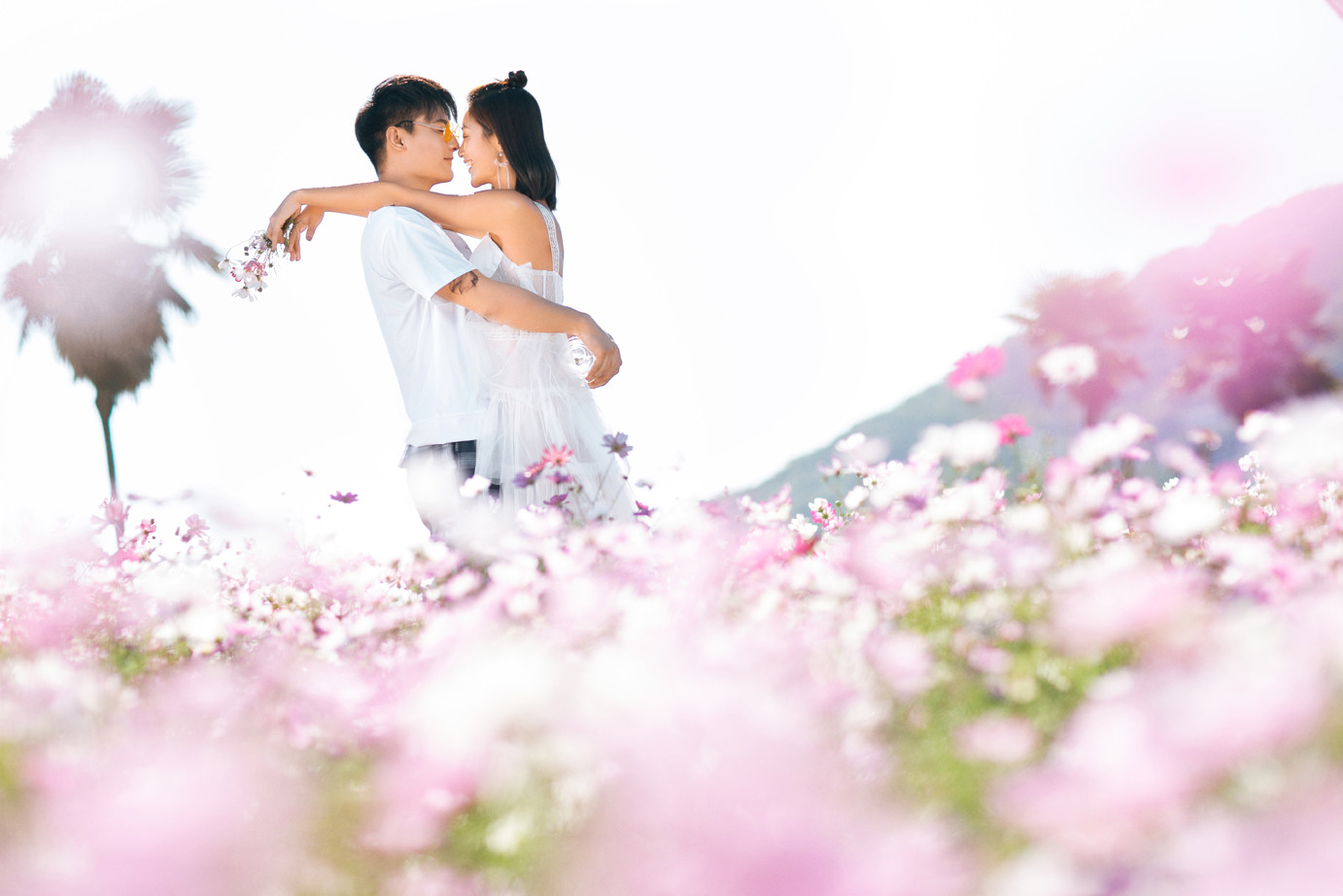 青春的歌-图片7