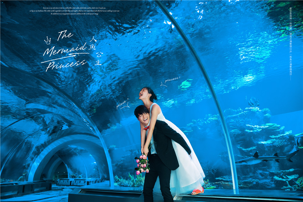 人鱼公主-图片7