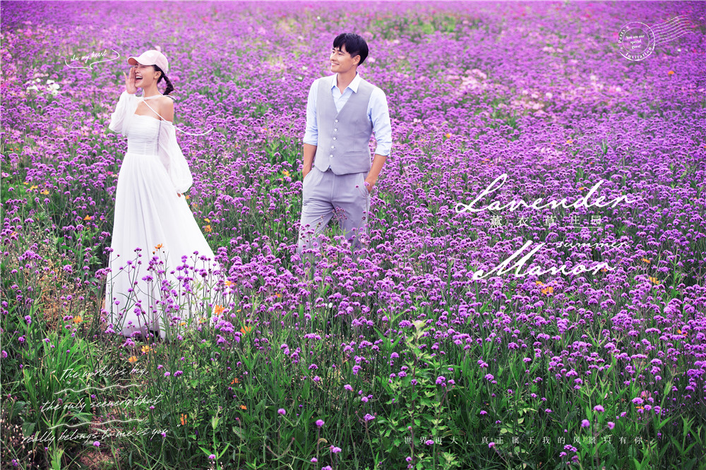 薰衣草庄园-图片2