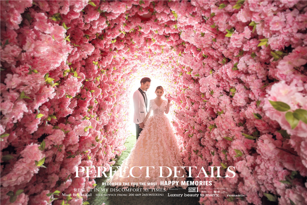 樱花隧道-图片3