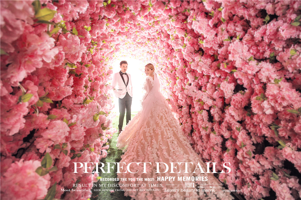 樱花隧道-图片5