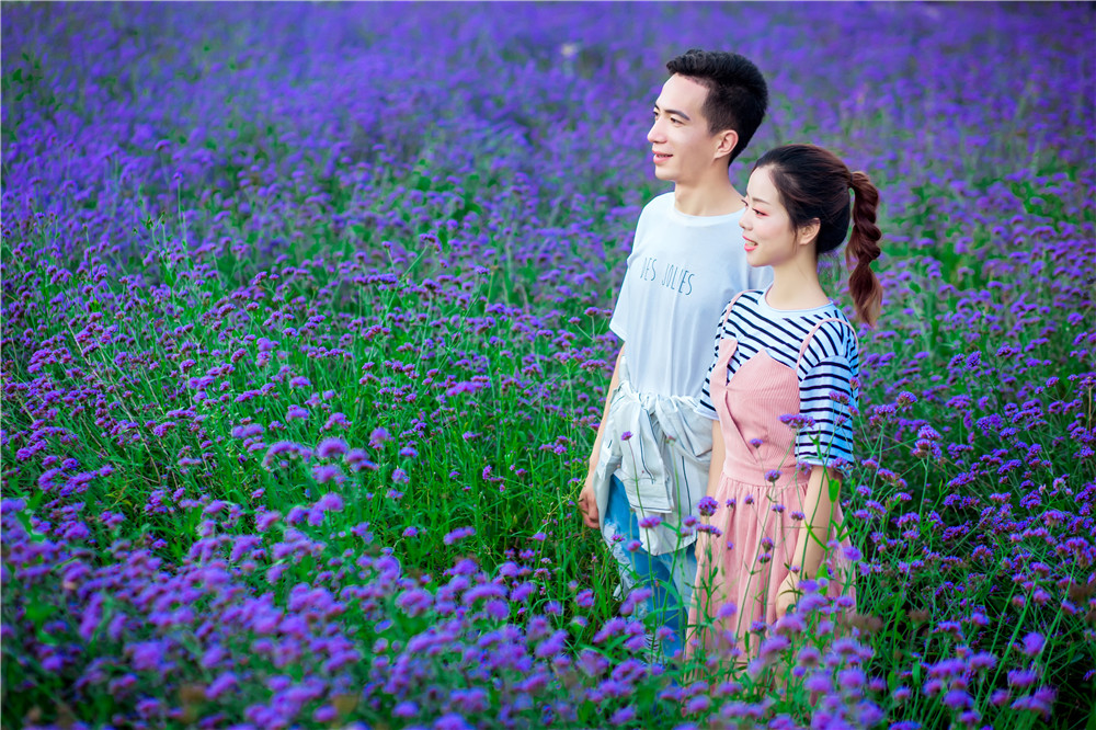 十二月-婚纱照-图片23