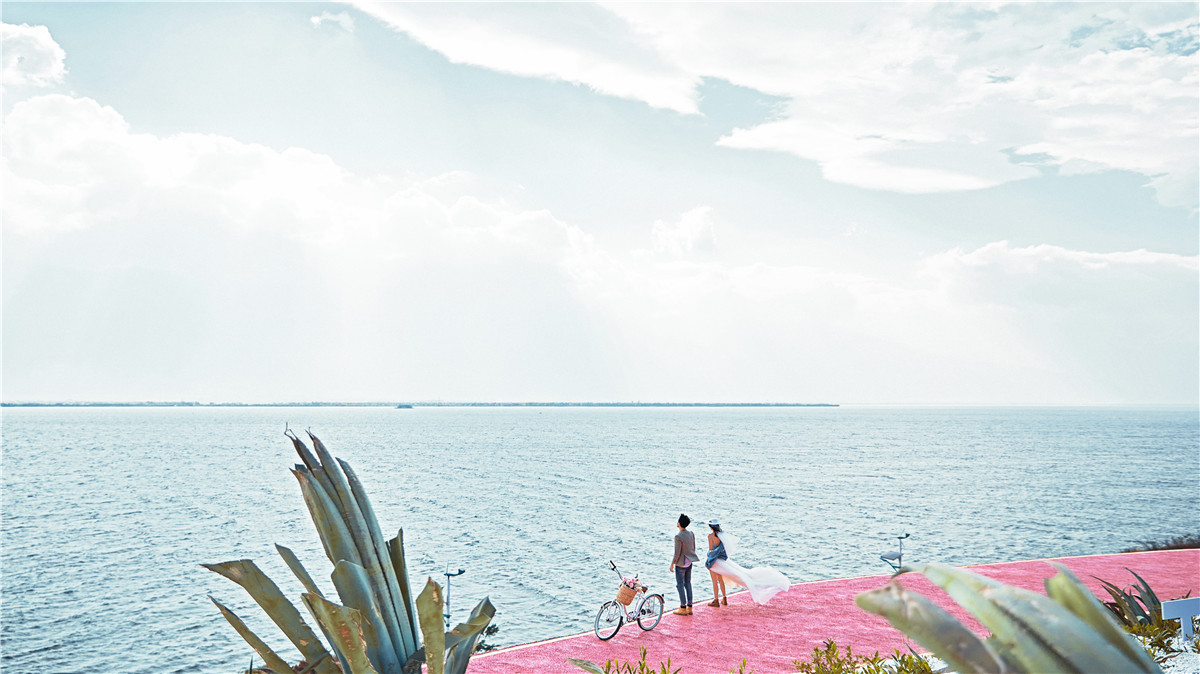 粉红公路-图片7