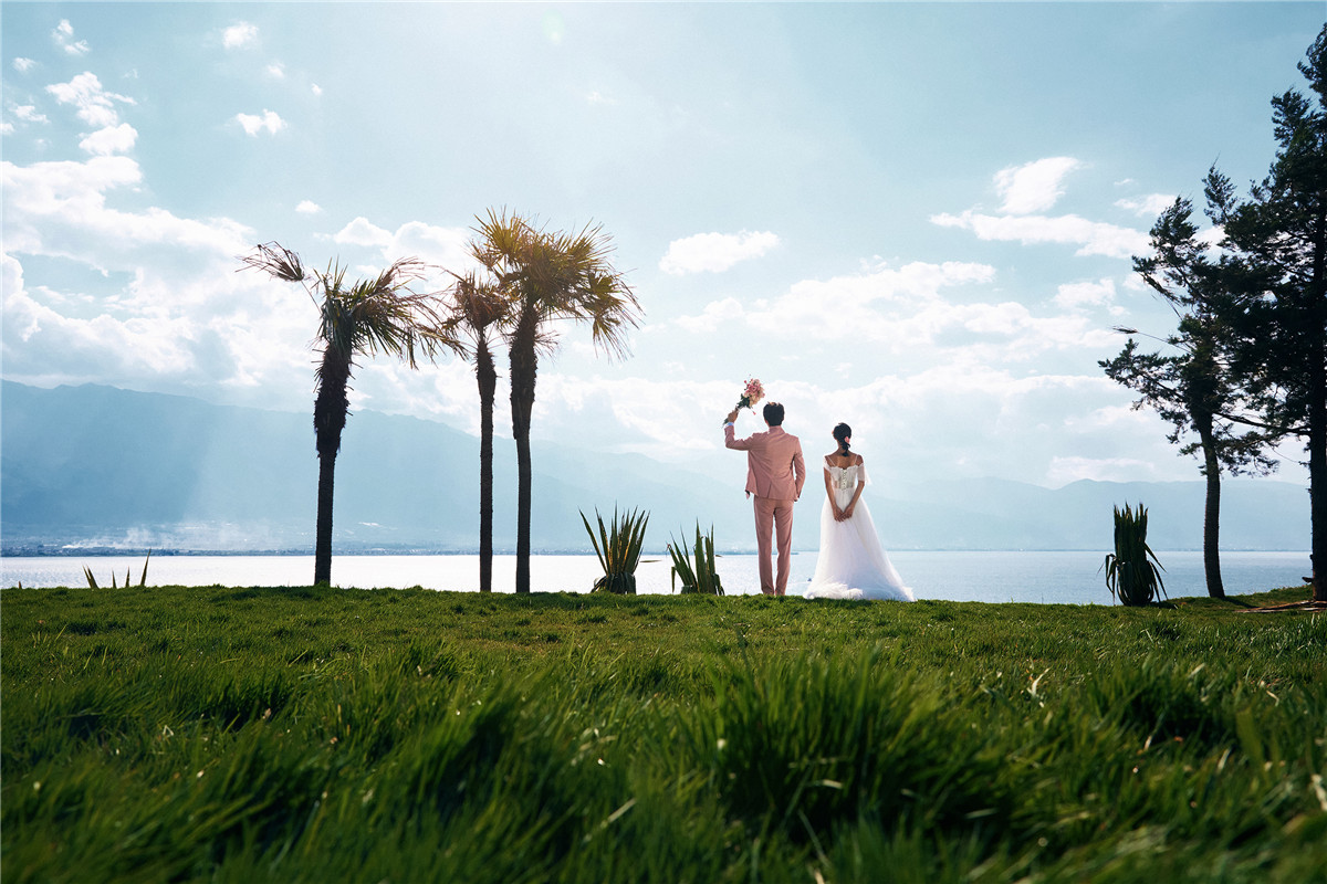 椰子树草地-图片1