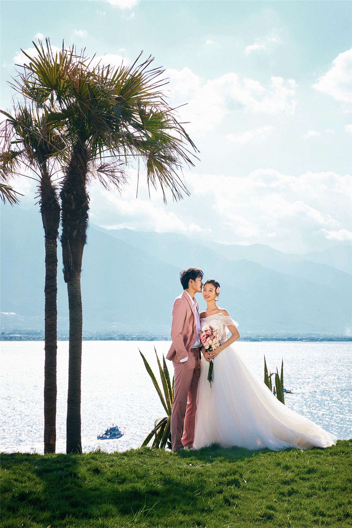 椰子树草地-图片2