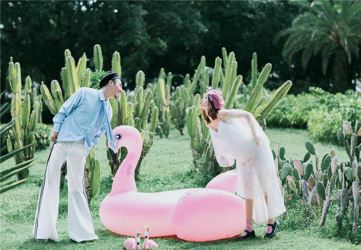 清新仙人掌-图片13