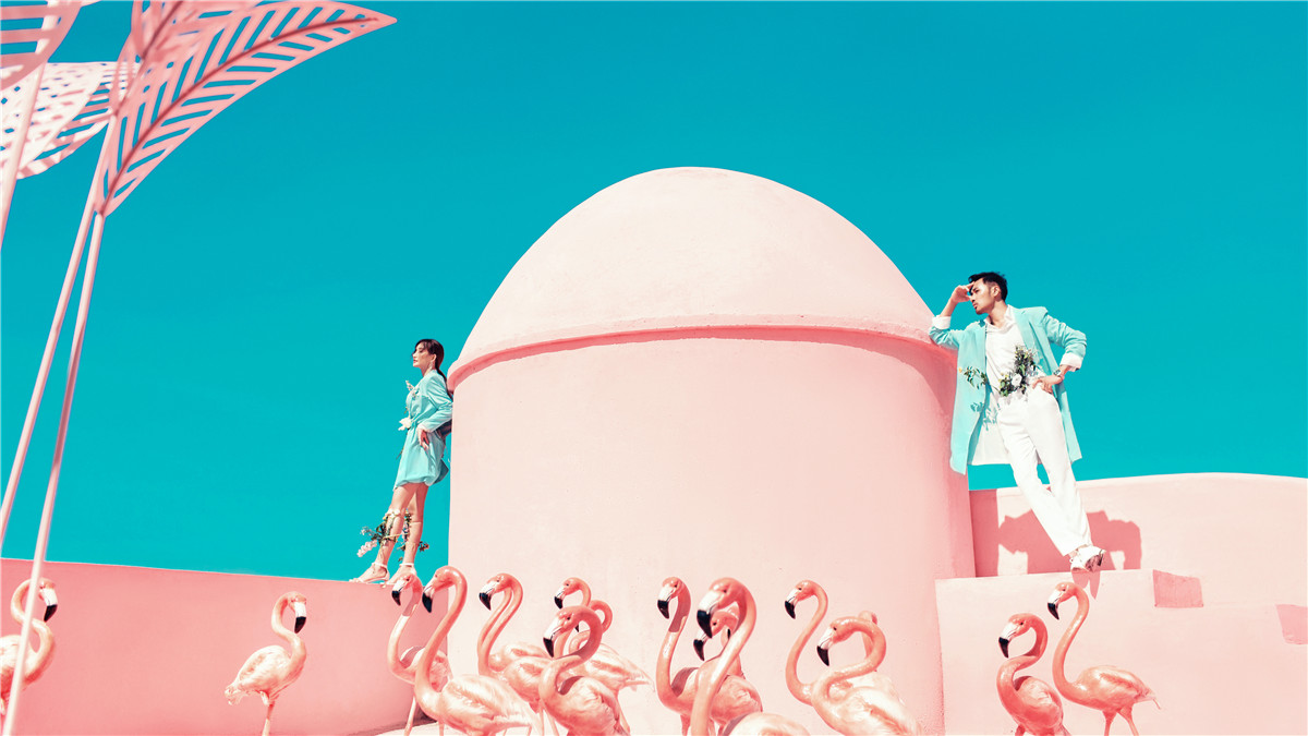 巴厘岛-火烈鸟-图片1