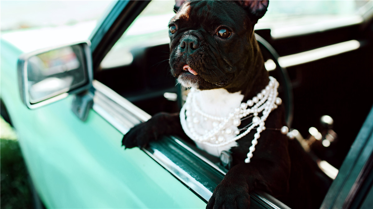 巴厘岛-度假旅行-图片9