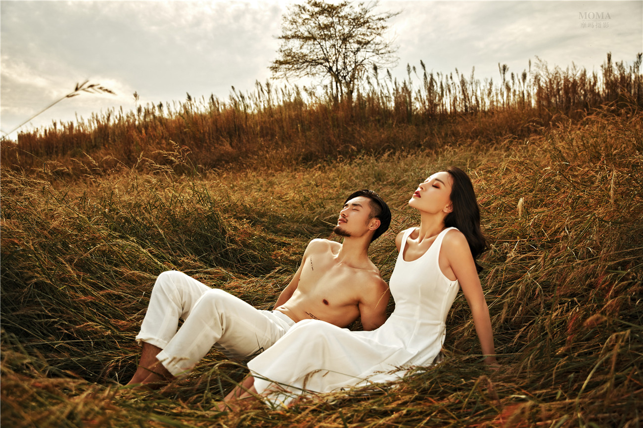 原野嬉戏-图片1