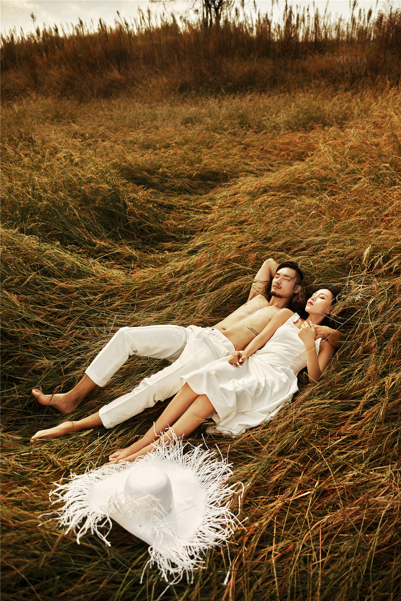 原野嬉戏-图片2