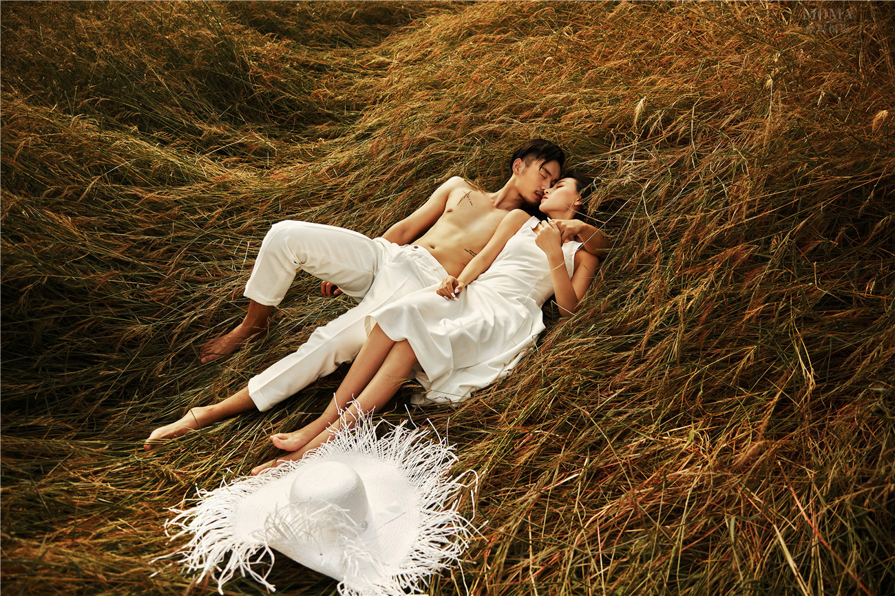 原野嬉戏-图片3