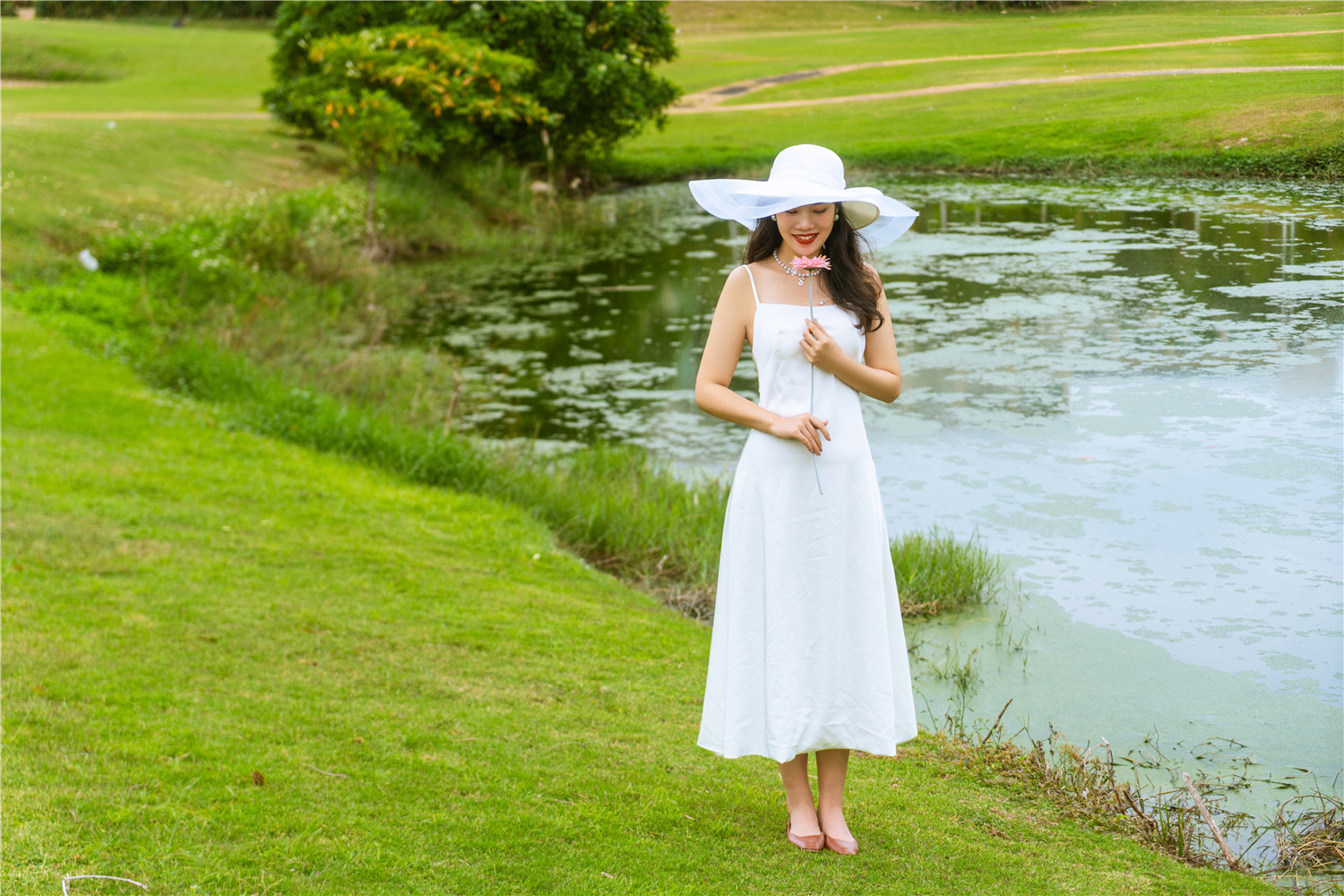 太子湾·草坪-图片1