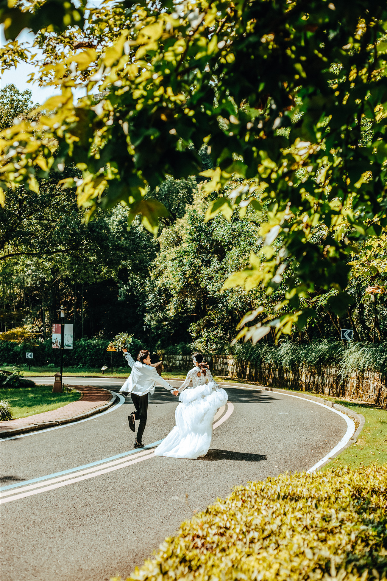 城市道路-图片3